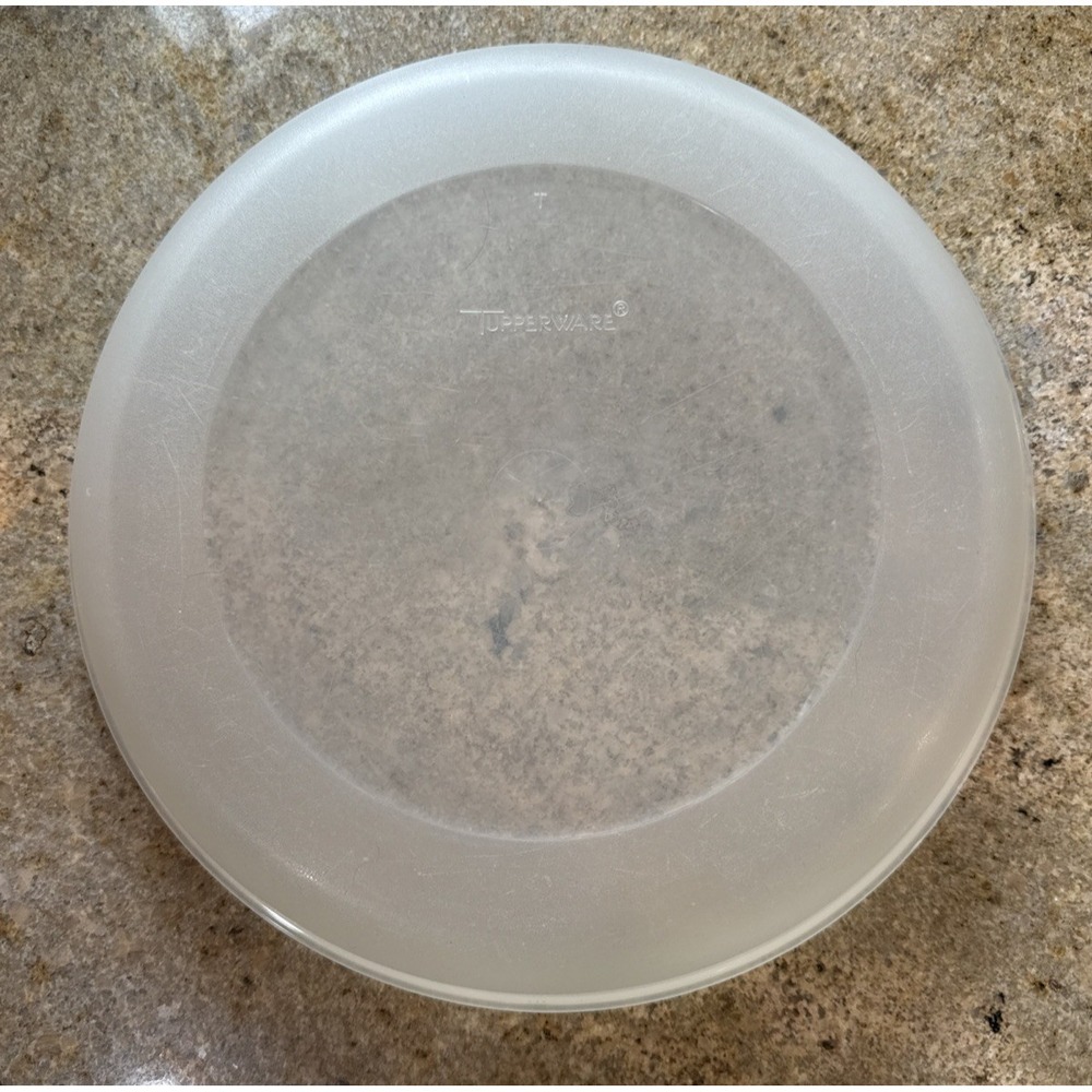 VTG 10" Tupperware #1865 T Sheer LID ONLY Fits 3qt Bowl #1833‎